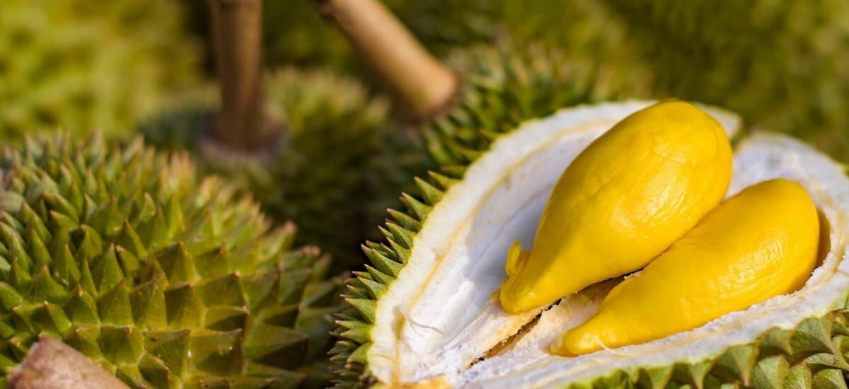 iStock 908646848 1200x900 1