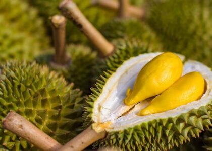 iStock 908646848 1200x900 1