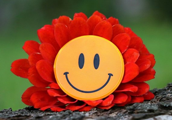 1590669943159 smile 1539196 1920