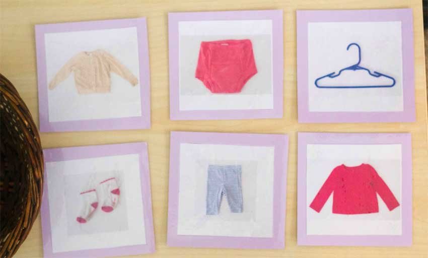 classifying picture cards