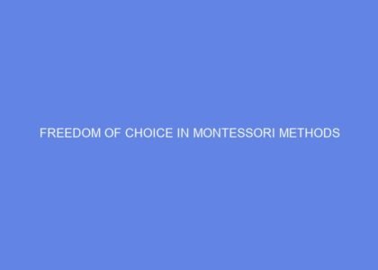 freedom of choice in montessori methods 31987