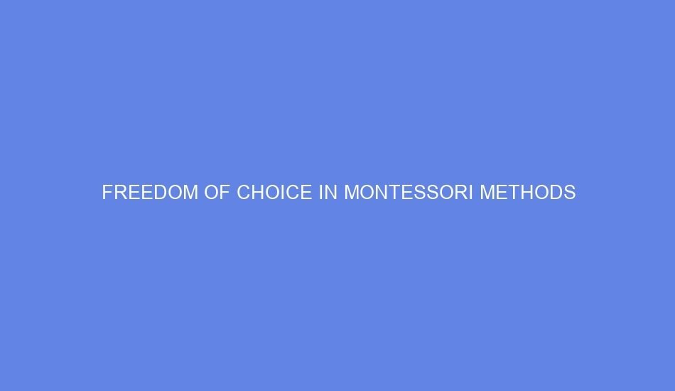 freedom of choice in montessori methods 31987