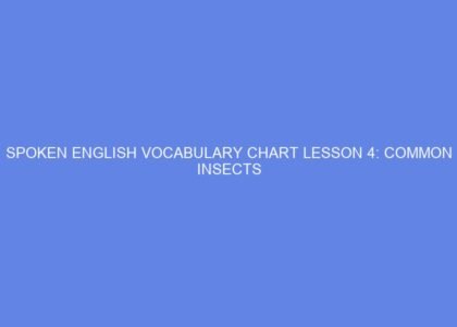 spoken english vocabulary chart lesson 4 common insects 46251