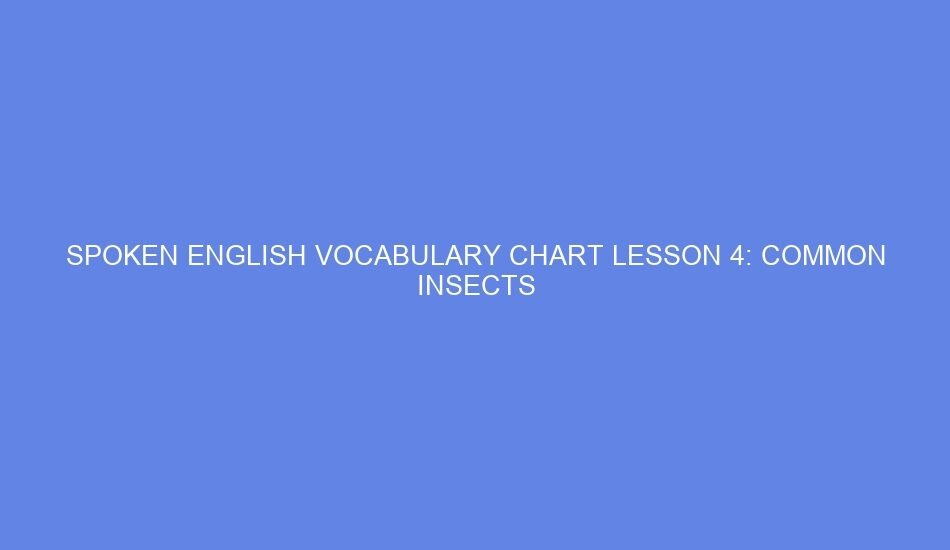 spoken english vocabulary chart lesson 4 common insects 46251
