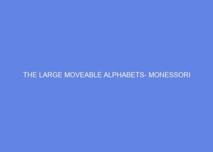 the large moveable alphabets monessori 35494