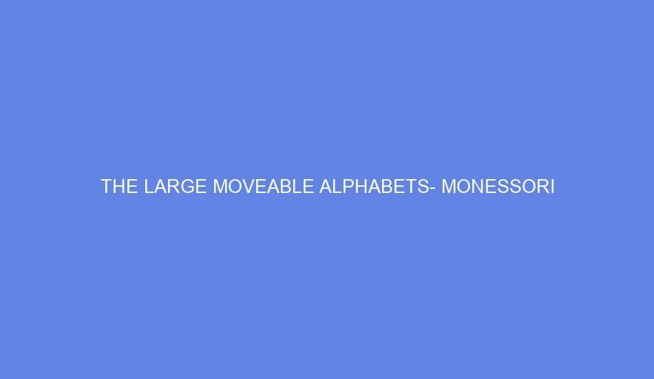 the large moveable alphabets monessori 35494