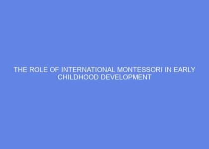 the role of international montessori in early childhood development 1336523