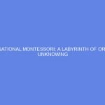 International Montessori: A Labyrinth of Ordered Unknowing