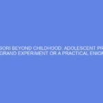 Montessori Beyond Childhood: Adolescent Programs – A Grand Experiment or a Practical Enigma?