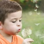 Does the concept of ‘normalization’ within a multicultural, international Montessori setting, where children present with vastly divergent cultural schemata and epigenetic imprints, invariably necessitate a subtle, albeit unintended, attenuation of the child’s native, culture-specific modes of joyful exploration to achieve a universal psycho-sensorial homogeneity?